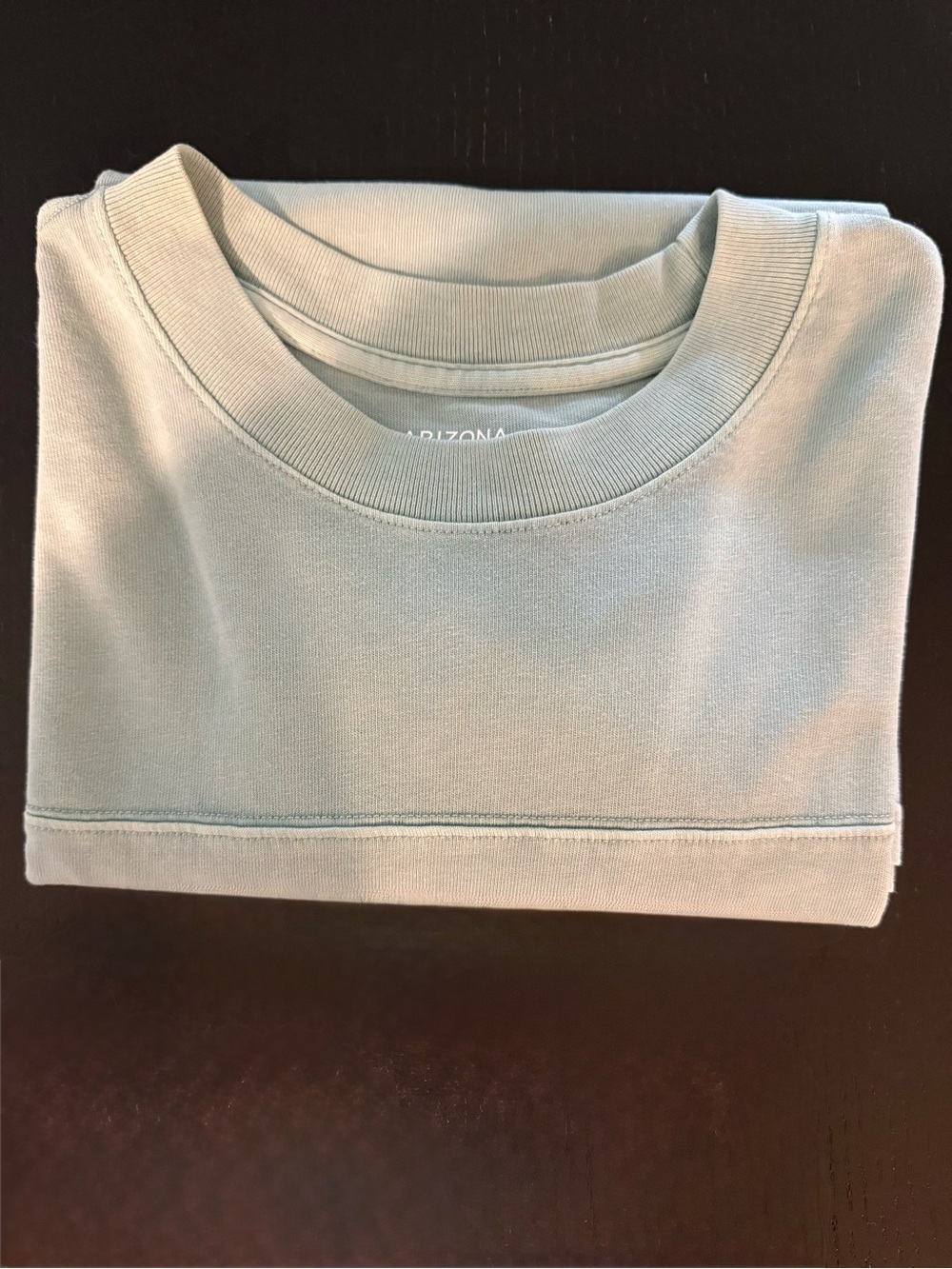 Arizona Jean Company Light Sage Green Long Sleeve Shirt